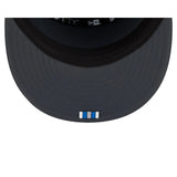Detroit Lions  2025 Sideline Cold Weather Steel Clouds Split Panel 9FIFTY Snapback