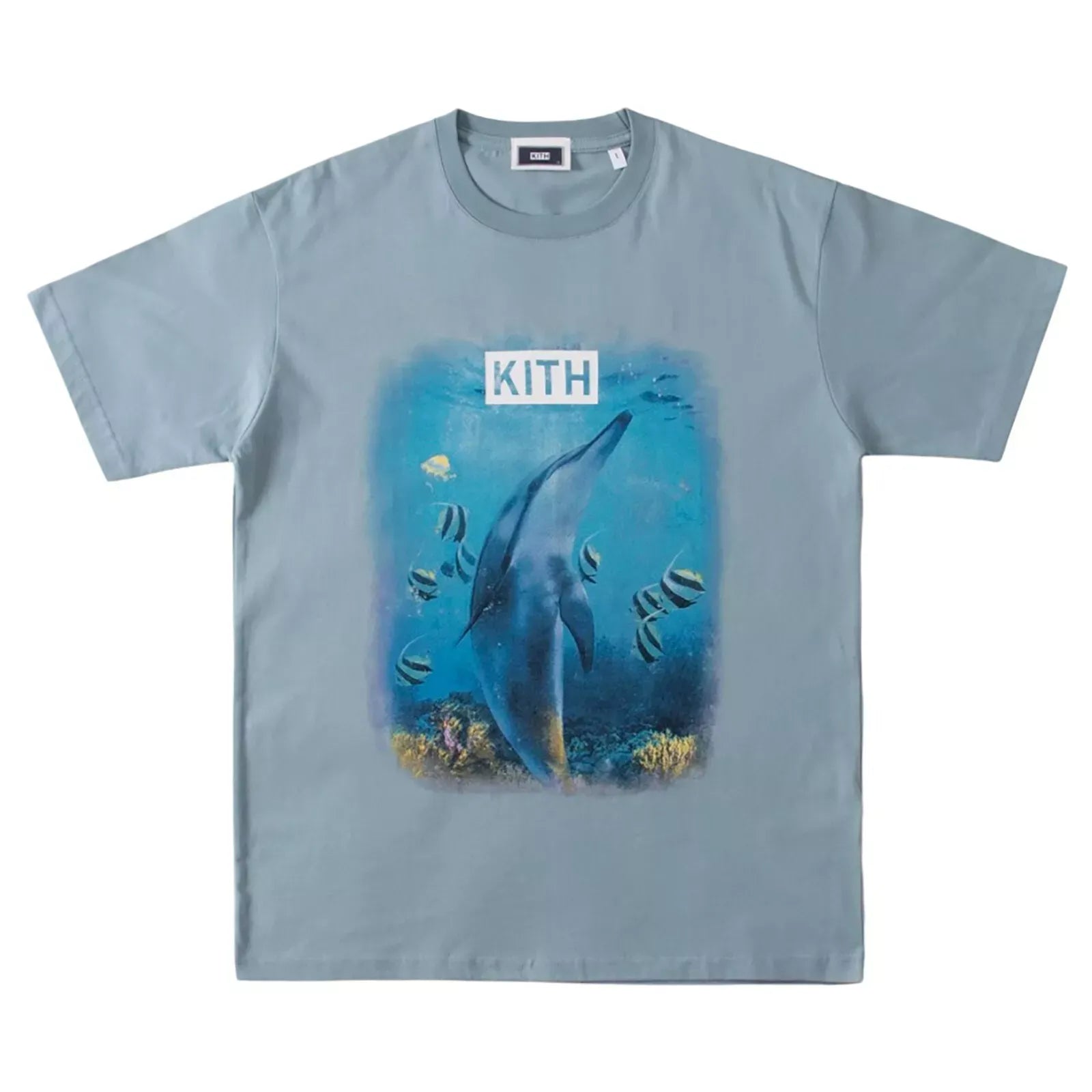 Kith Underwater Dolphin Vintage T-shirt Blue - Living Legend